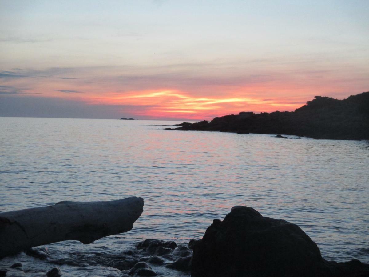 Chambre D'Hotes A 5Mn Des Plages パトリモニオ エクステリア 写真